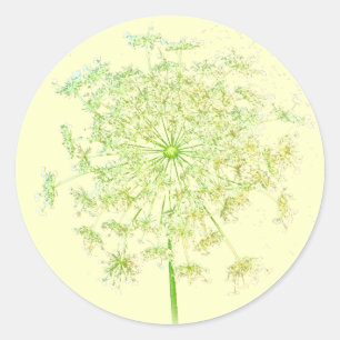 Queen Anne's Lace Geschenke und Favoriten Runder Aufkleber