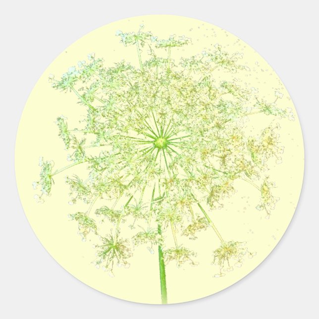 Queen Anne's Lace Geschenke und Favoriten Runder Aufkleber (Vorderseite)