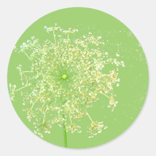 Queen Anne's Lace Geschenke und Favoriten Runder Aufkleber