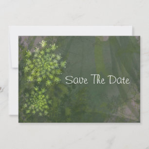 Queen Annes Lace Hochzeit Save The Date