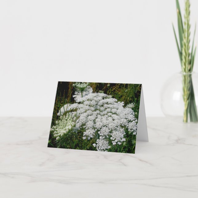 Queen Anne's Lace Note Card Feiertagskarte (Vorderseite)