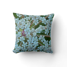 Queen Anne's Lace White Blume