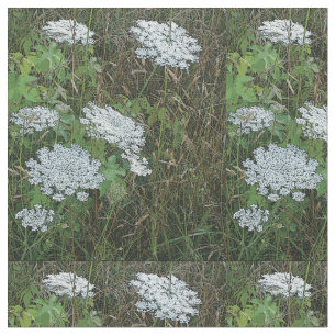 Queen Anne's Lace White Wild Blume Stoff