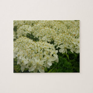 Queen Anne's Lace Wildblume Foto Puzzle
