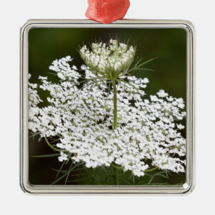 Queen Ann's Lace Silbernes Ornament