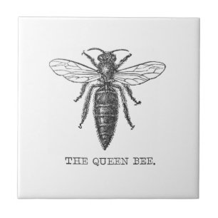 Queen Bee Bug Insect Antike Illustration Fliese