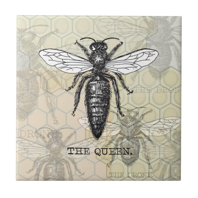 Queen Bee Bug Insect Antike Illustration Fliese (Vorderseite)