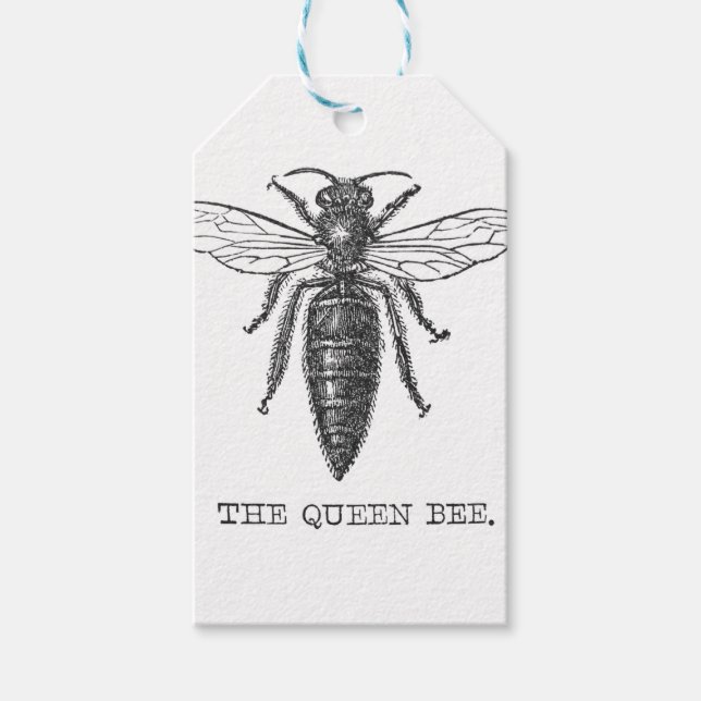 Queen Bee Bug Insect Antike Illustration Geschenkanhänger (Vorderseite)