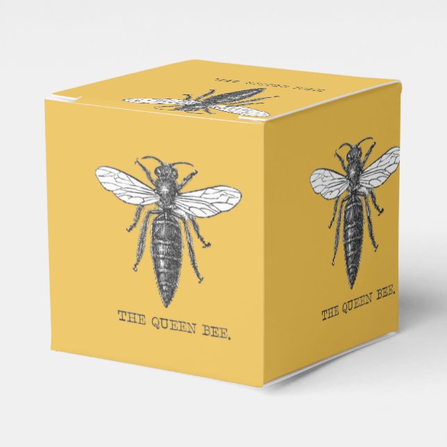 Queen Bee Bug Insect Antike Illustration Geschenkschachtel (Vorderseite)