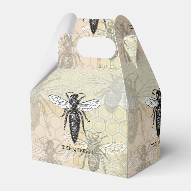 Queen Bee Bug Insect Antike Illustration Geschenkschachtel (Vorderseite)