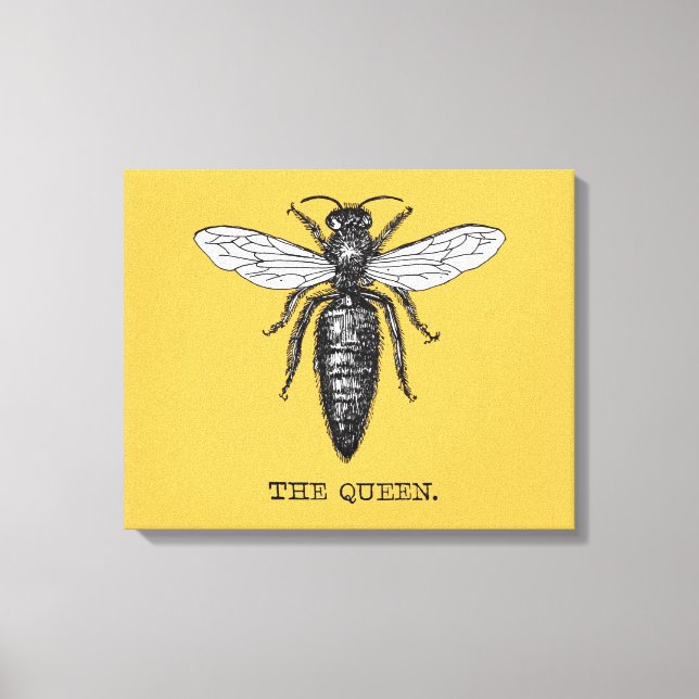 Queen Bee Bug Insect Antike Illustration Leinwanddruck (Vorderseite)