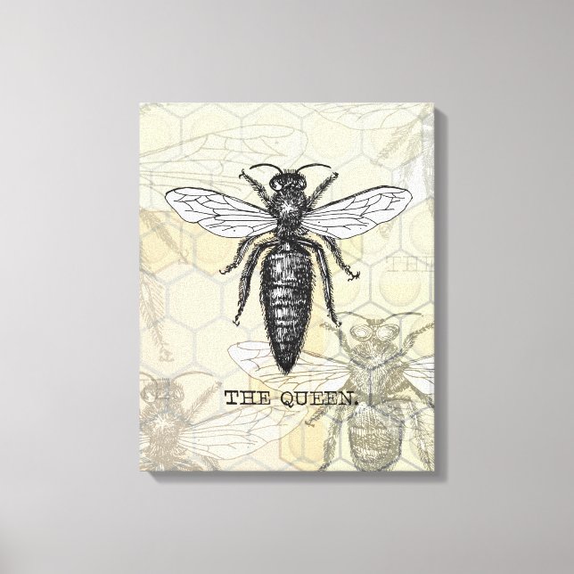 Queen Bee Bug Insect Antike Illustration Leinwanddruck (Vorderseite)