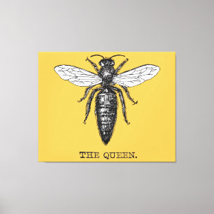 Queen Bee Bug Insect Antike Illustration Leinwanddruck