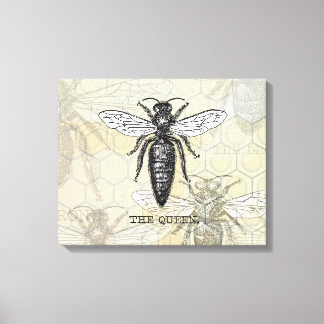 Queen Bee Bug Insect Antike Illustration Leinwanddruck (Vorderseite)
