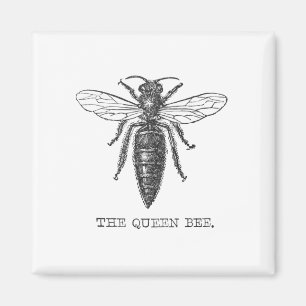 Queen Bee Bug Insect Antike Illustration Magnet