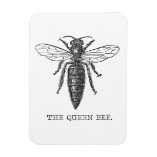 Queen Bee Bug Insect Antike Illustration Magnet