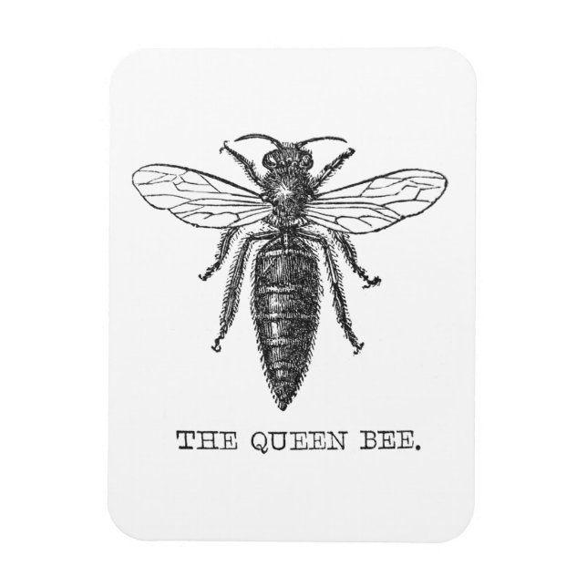 Queen Bee Bug Insect Antike Illustration Magnet (Vertikal)