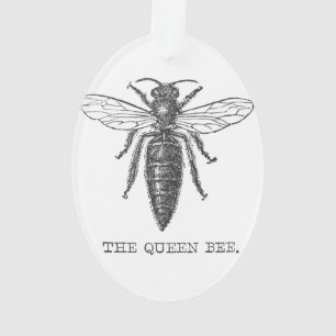Queen Bee Bug Insect Antike Illustration Ornament