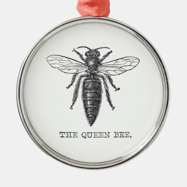Queen Bee Bug Insect Antike Illustration Ornament Aus Metall (Vorne)