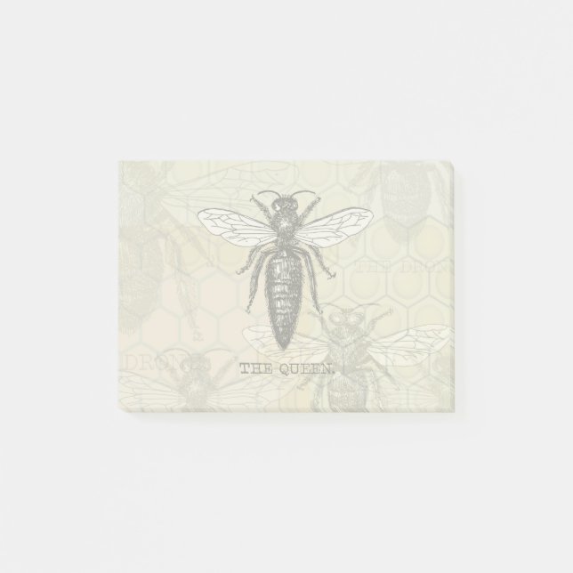 Queen Bee Bug Insect Antike Illustration Post-it Klebezettel (Vorderseite)