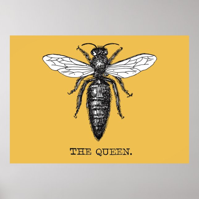Queen Bee Bug Insect Antike Illustration Poster (Vorne)