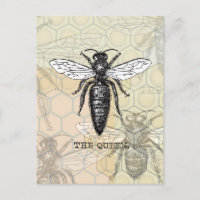 Queen Bee Bug Insect Antike Illustration