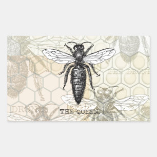 Queen Bee Bug Insect Antike Illustration Rechteckiger Aufkleber