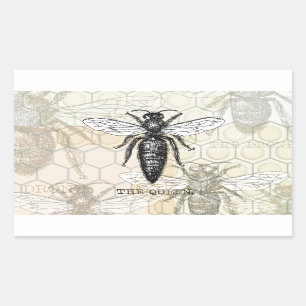 Queen Bee Bug Insect Antike Illustration Rechteckiger Aufkleber