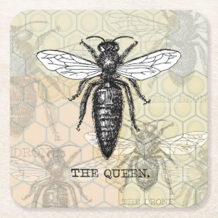 Queen Bee Bug Insect Antike Illustration Rechteckiger Pappuntersetzer