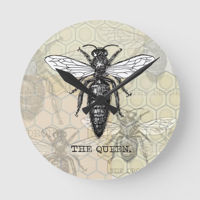Queen Bee Bug Insect Antike Illustration Runde Wanduhr (Vorderseite)