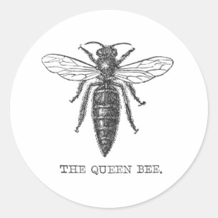 Queen Bee Bug Insect Antike Illustration Runder Aufkleber