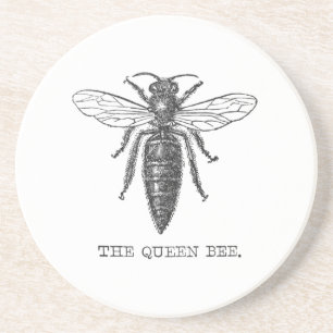 Queen Bee Bug Insect Antike Illustration Sandstein Untersetzer