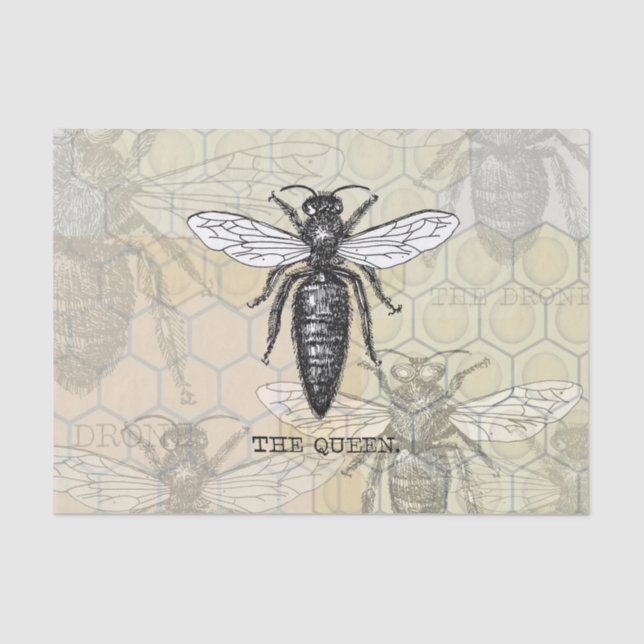 Queen Bee Bug Insect Antike Illustration Seidenpapier (Vorderseite)