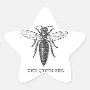 Queen Bee Bug Insect Antike Illustration Stern-Aufkleber