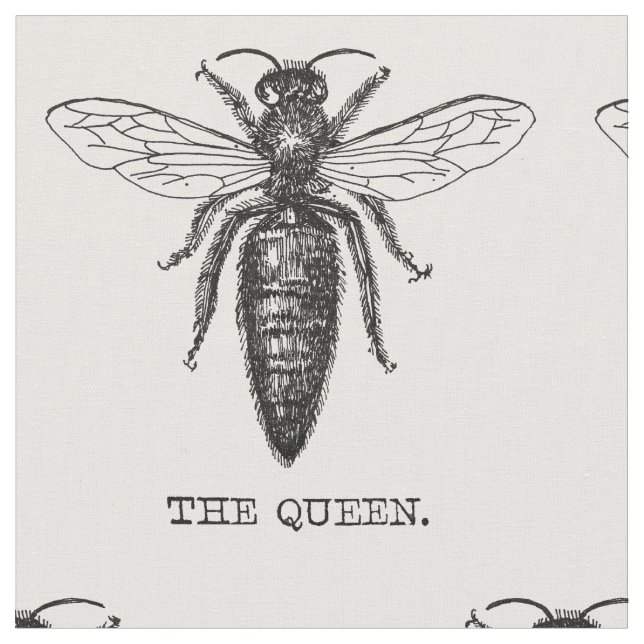 Queen Bee Bug Insect Antike Illustration Stoff (Nahaufnahme)