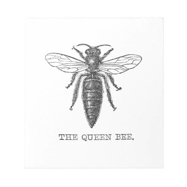 Queen Bee Illustration Bug Insect Notizblock (Vorderseite)