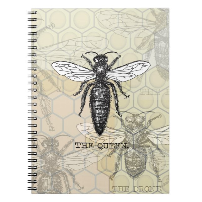 Queen Bee Illustration Bug Insect Notizblock (Vorderseite)