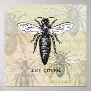 Queen Bee Illustration Bug Insect Poster