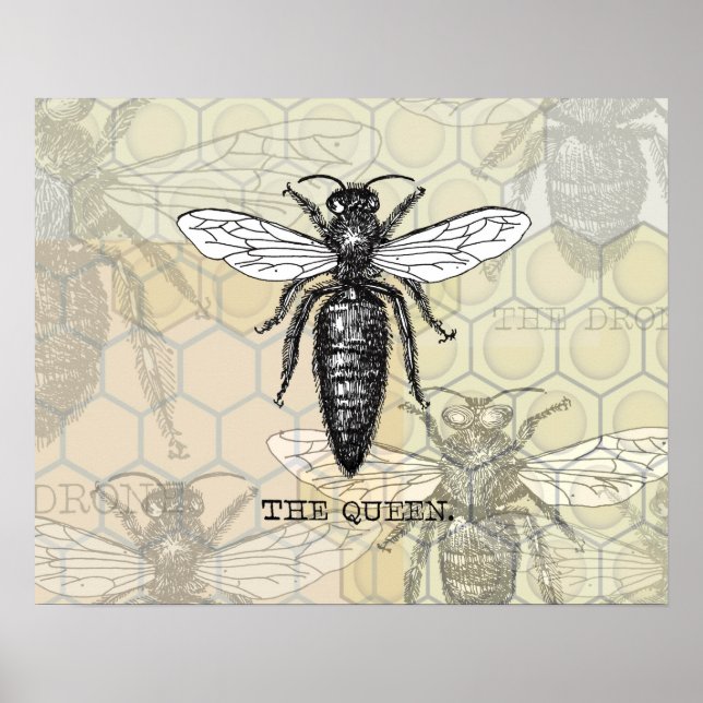 Queen Bee Illustration Bug Insect Poster (Vorne)