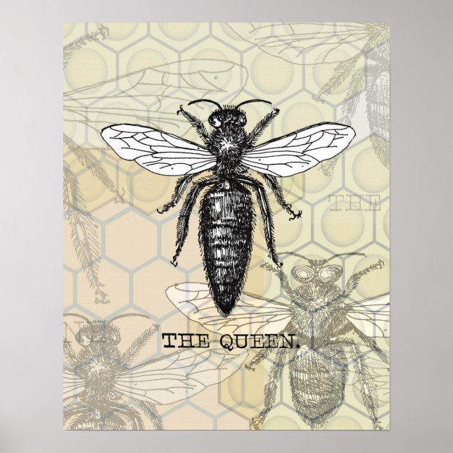 Queen Bee Illustration Bug Insect Poster (Vorne)