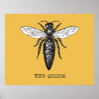 Queen Bee Illustration Bug Insect