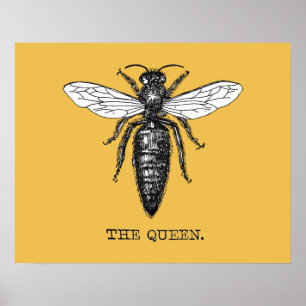 Queen Bee Illustration Bug Insect Poster