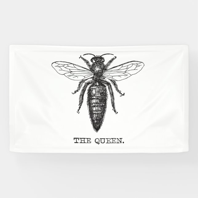 Queen Bee Illustration Classic Zeichnend Banner (Horizontal)