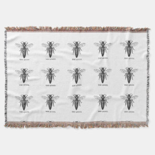 Queen Bee Illustration Classic Zeichnend Decke