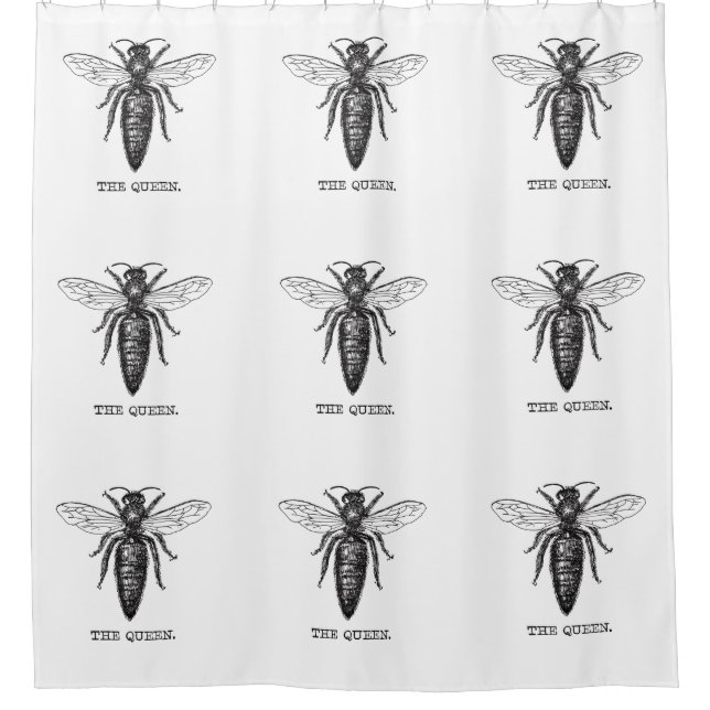Queen Bee Illustration Classic Zeichnend Duschvorhang (Vorderseite)