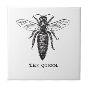 Queen Bee Illustration Classic Zeichnend Fliese
