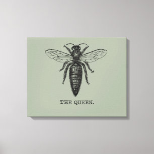 Queen Bee Illustration Classic Zeichnend Leinwanddruck