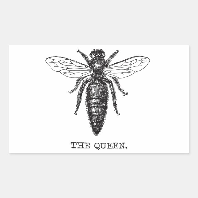 Queen Bee Illustration Classic Zeichnend Rechteckiger Aufkleber (Vorderseite)