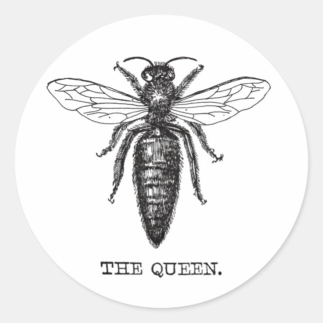Queen Bee Illustration Classic Zeichnend Runder Aufkleber (Vorderseite)