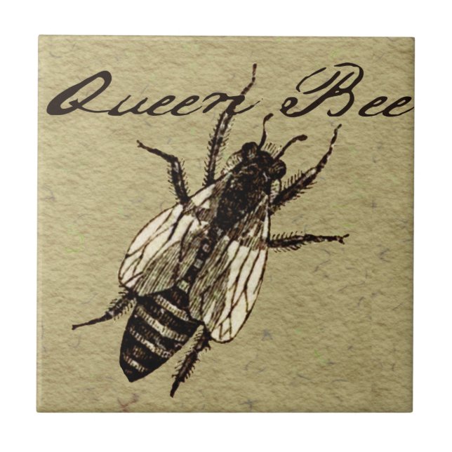 Queen Bee Wildlife Bug Insect Fliese (Vorderseite)